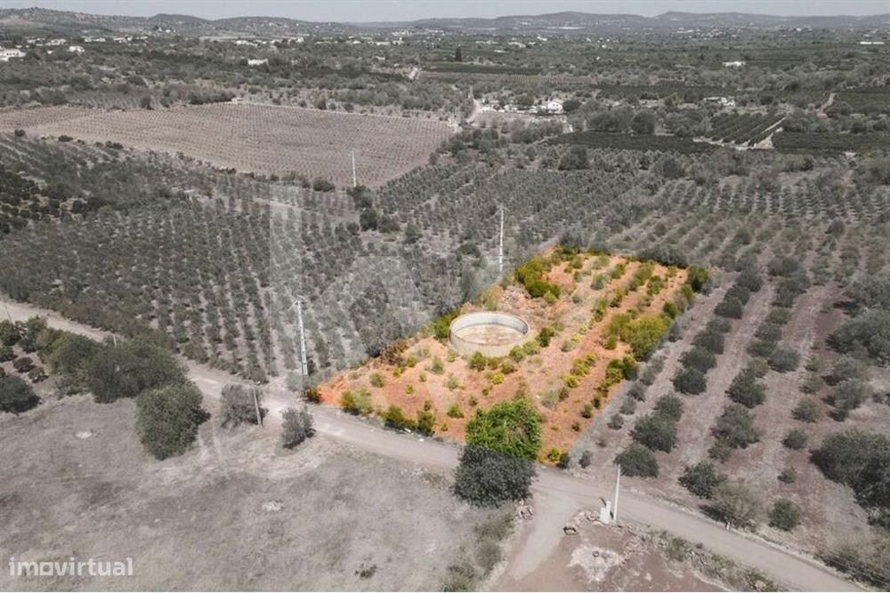Terreno com 3.240 m2 e ruína – São Bartolomeu de Messines (Torreirão)