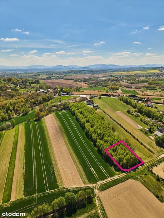 Mała działka 10,36a w Suchorabie gm. Niepołomice