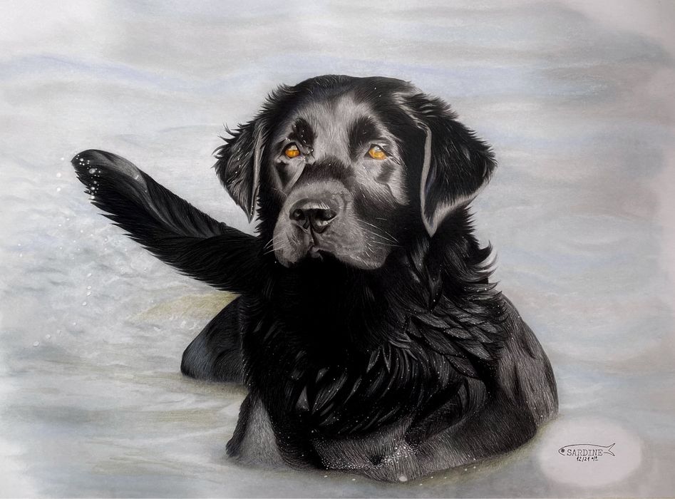 Retratos canino/felino desenhados à mão