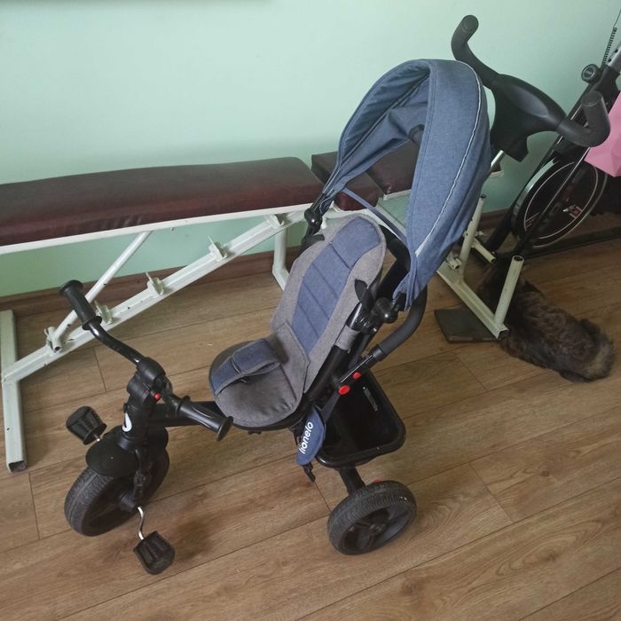 Дитячий велосипед lionelo haari