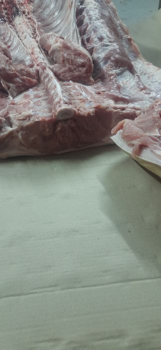 Туші свині з документами