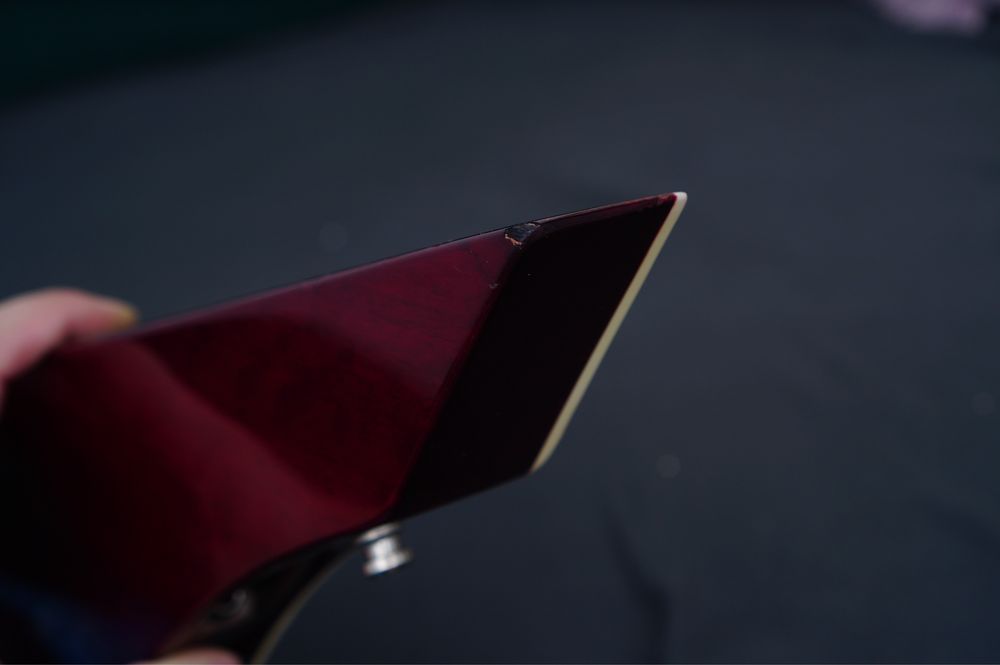 Esp ltd ninja 600 Michael Amott