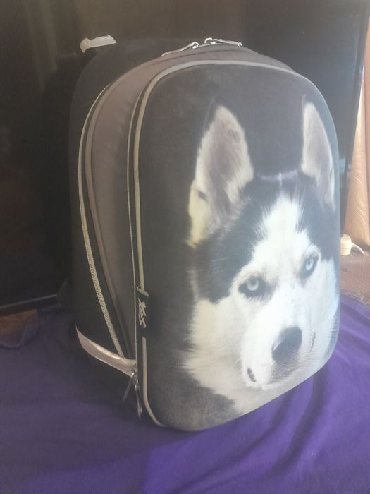 Школьный рюкзак.