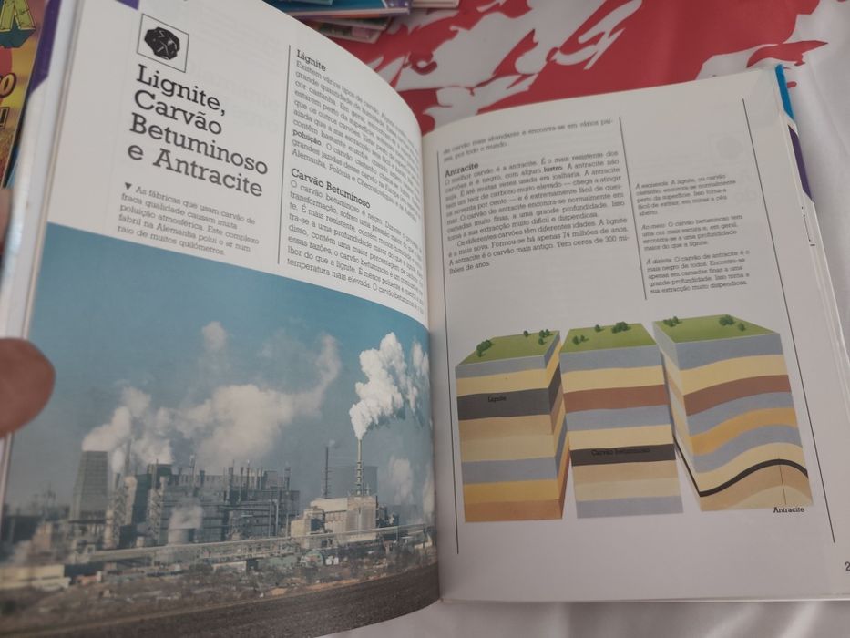 Livro Combustíveis e Energia