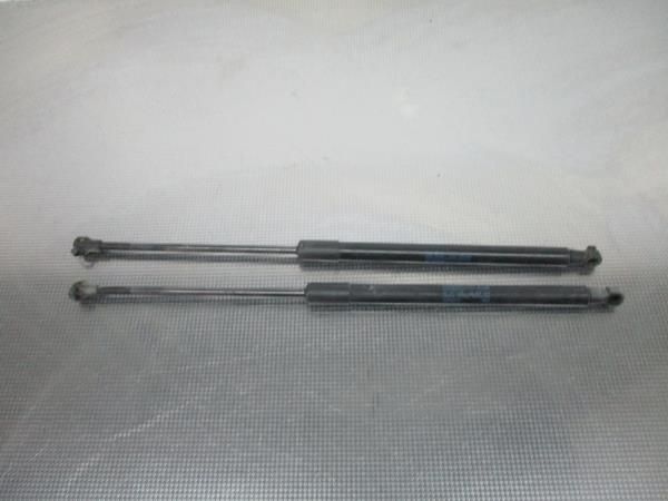 Amortecedor da mala AUDI A3 (8P1)