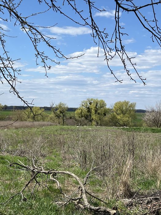 Продаж будинку в селі Острів,Білоцерківський район