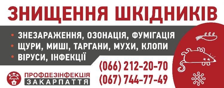 Знишення плісняви та грибку