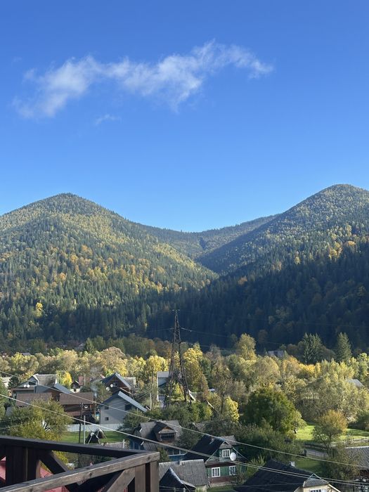 Котедж в Карпатах