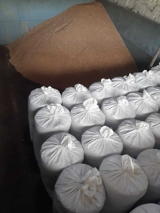 Pszenica jara, workowana