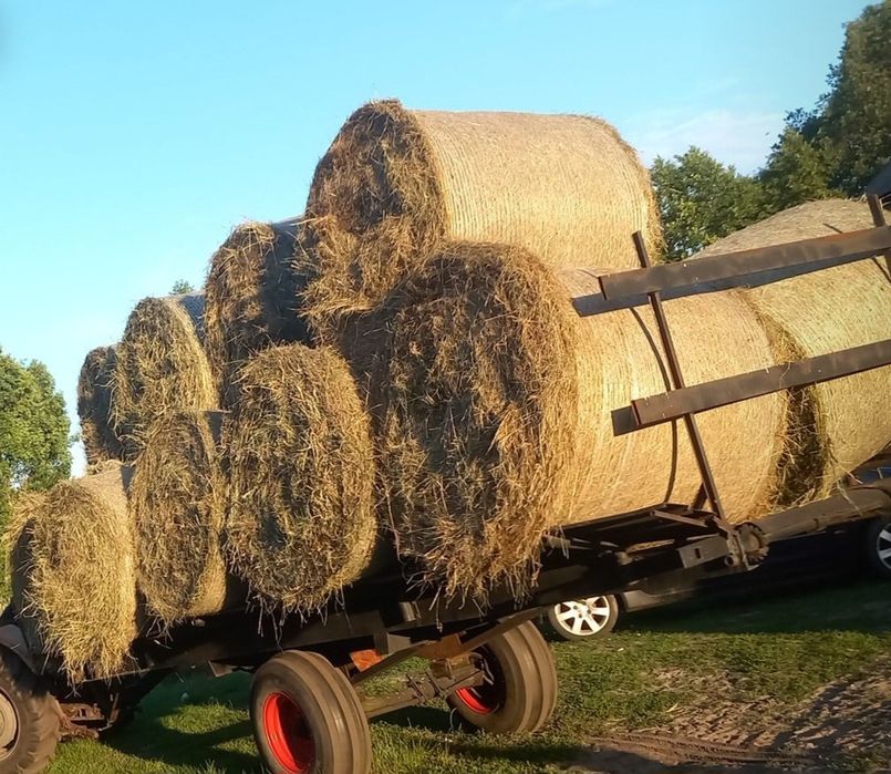 Siano, Słoma dobra cena