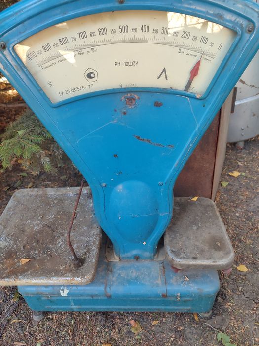 Веси тарелочние на гирях