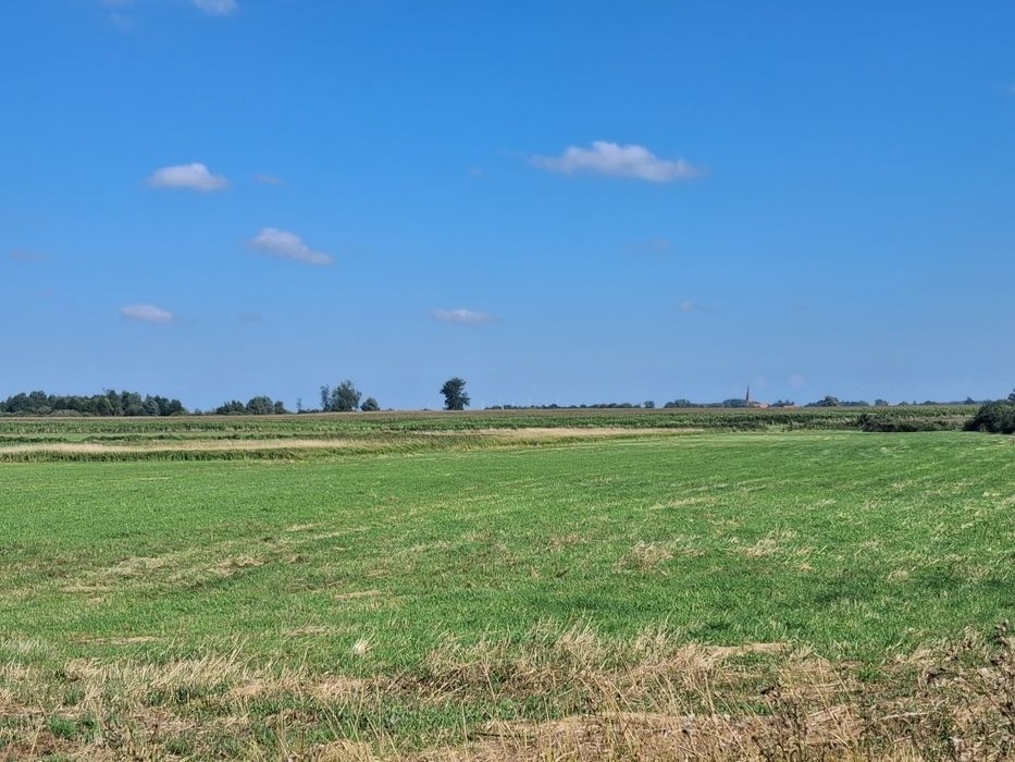 Ziemia rolna Antoniewice