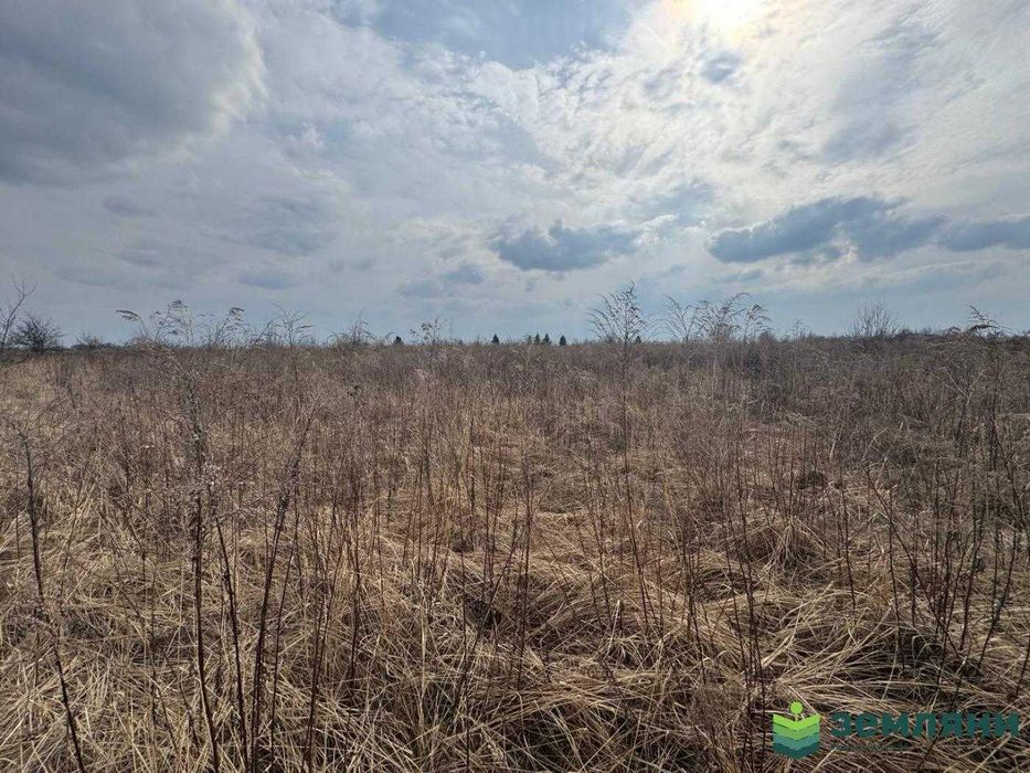 Продається ділянка 6 сот під будівництво в Чукалівці (6)