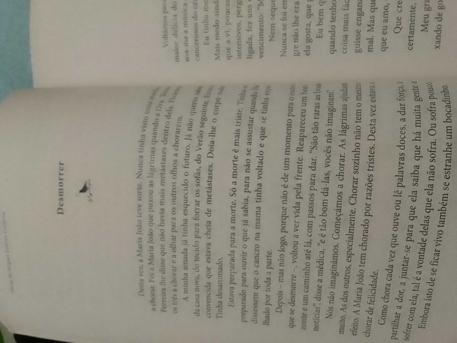 Livro "Como é Linda a Puta da Vida" de Miguel Esteves Cardoso