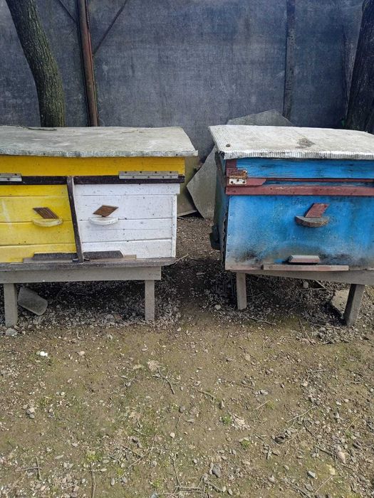 Вулики для бджіл.