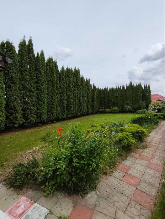Продам будинок Бориспільський, Щасливе