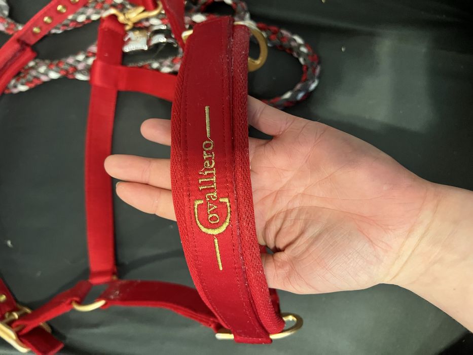 Kantar dla konia czerwony  nowy