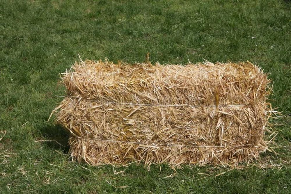 Słoma, ściółka do budy dla psa królika drobiu 8kg