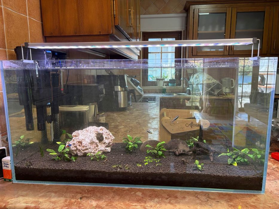 Aquario completo