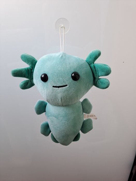 Axolotl turkusowy pluszak