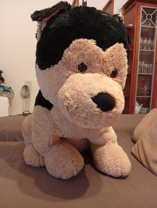 Cão peluche grande