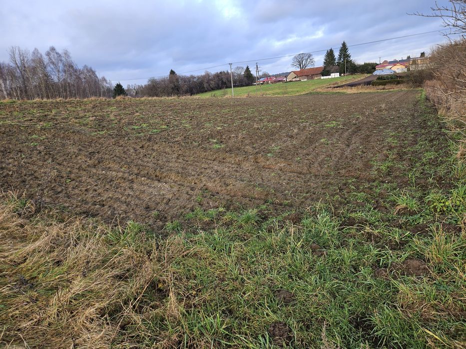 Działki Zwierzewo Mazury