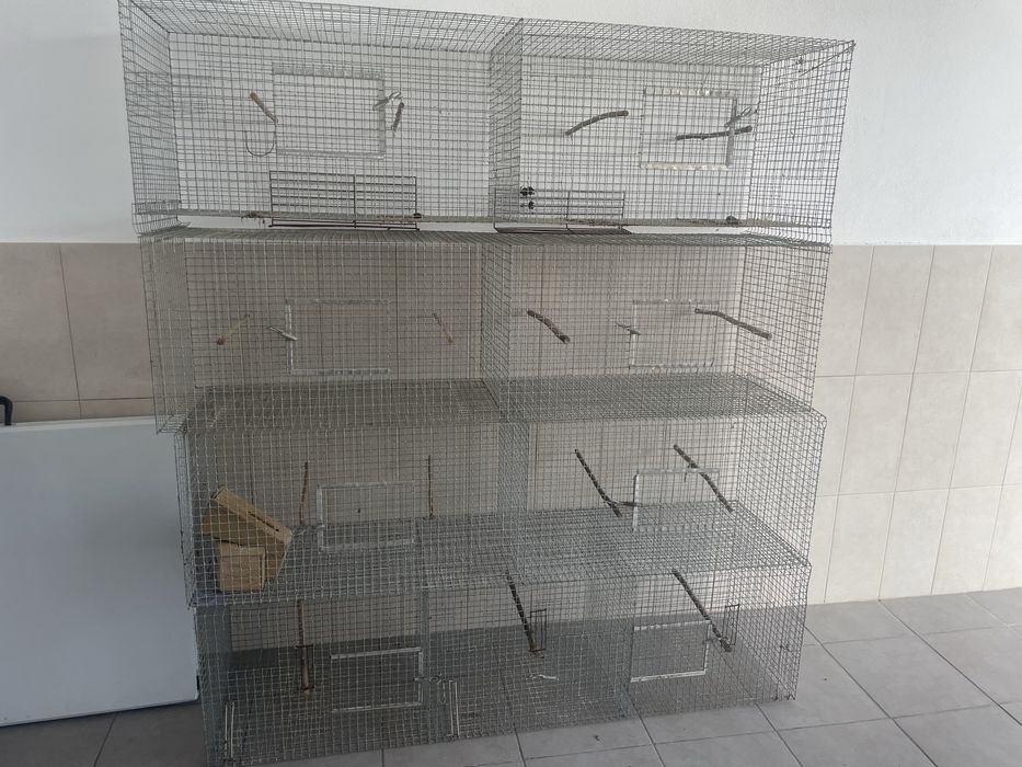 Gaiolas para criacao de passaros
