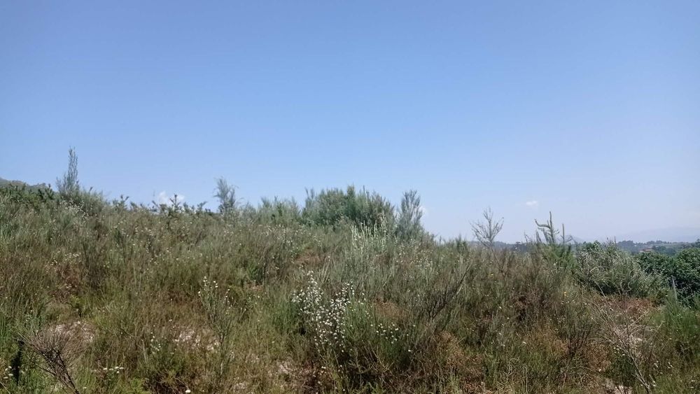Terreno em Fafe com perto de 100 000 m2