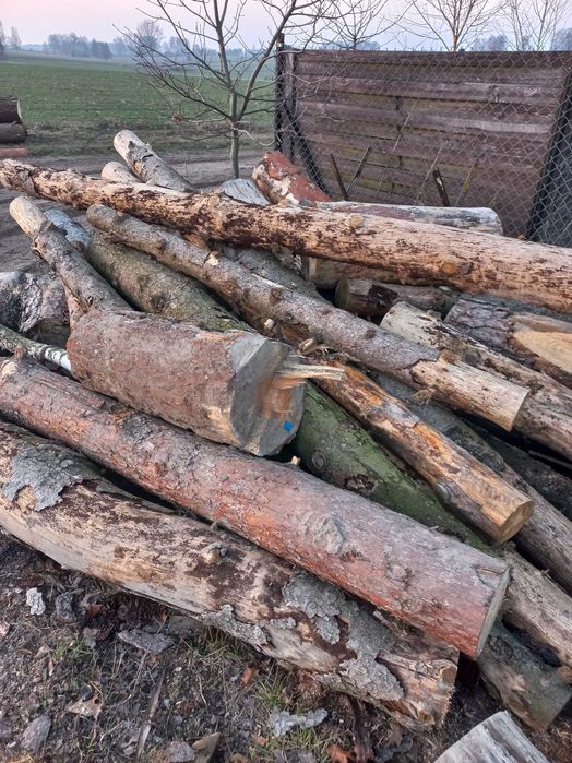 Drewno opałowe, zrzyny tartaczne!