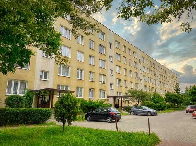 *Do wynajęcia jasna kawalerka, Ob. Westerplatte 13, BRAK PROWIZJI