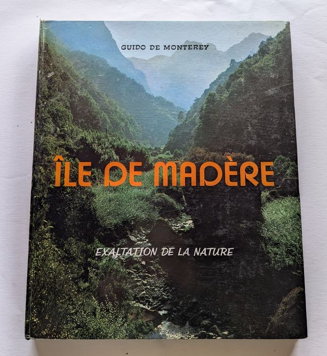 Livros em Francês - Diamants/ Peinture Sur Porcelaine