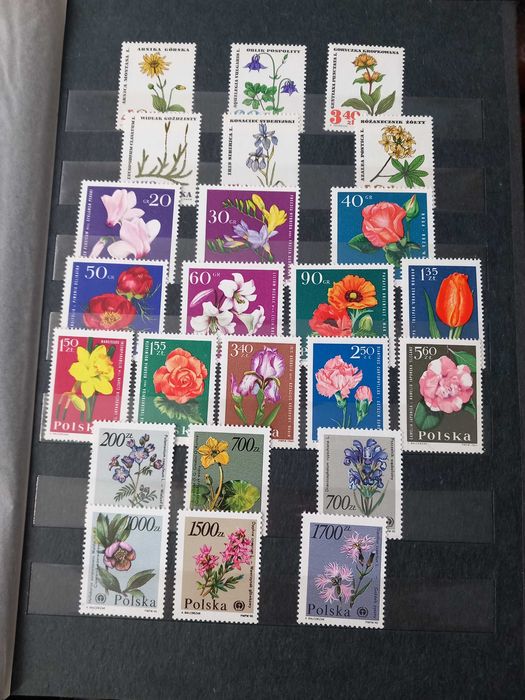 klaser ze znaczkami czyste