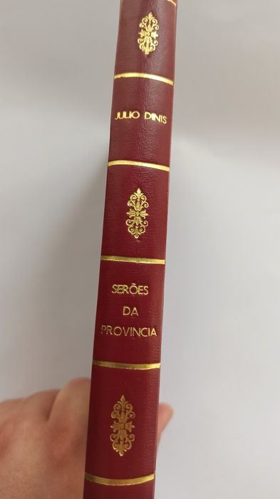 Serões da Província - Júlio Dinis