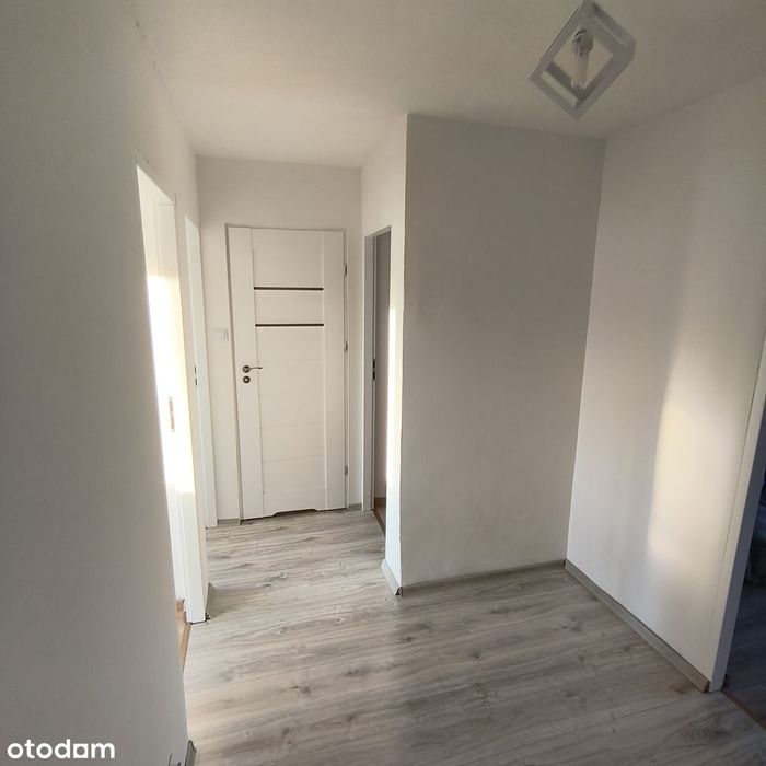 Mieszkanie 3 pokoje, salon, kuchnia, balkon. Stare miasto/Szczepin