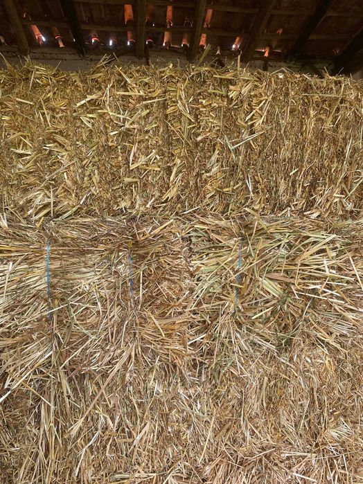 Fardos de feno (aveia, cevada e ervilhaca) / hay bales