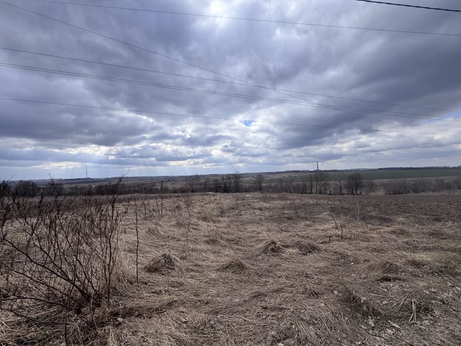 Продам земельну ділянку в Лісових Гринівцях