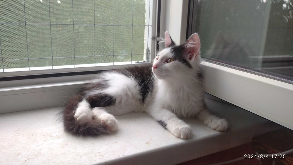 Марися шукає родину