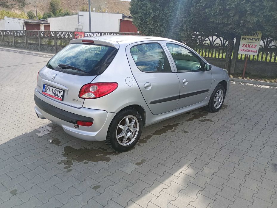 Peugeot 206 plus *