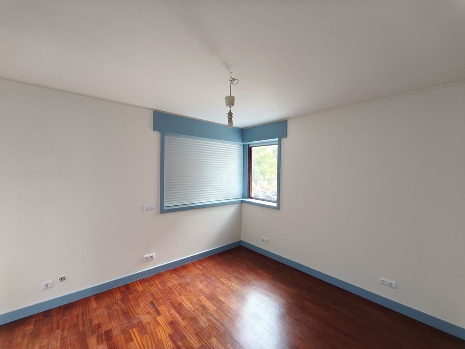 Pintor Profissional