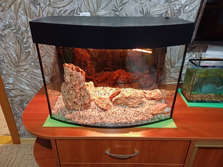 Террариум большой