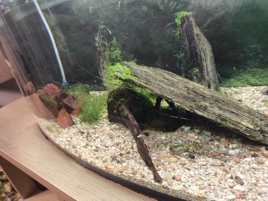 Akwarium 112l pełen zestaw