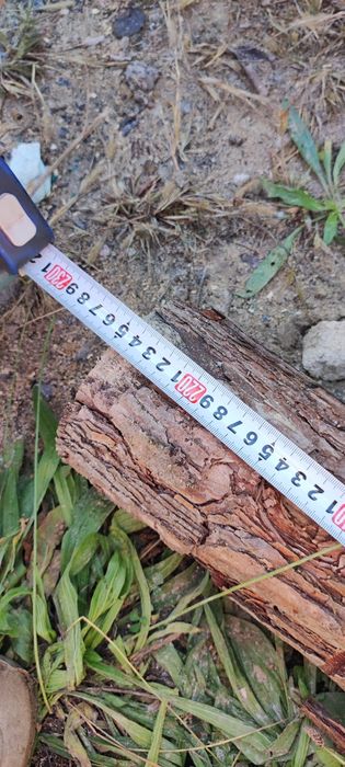 Stemple budowlane drewniane