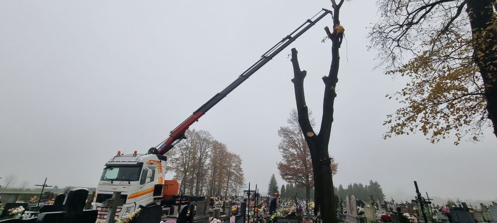 Usługi hds transport dźwig kontenery montaż