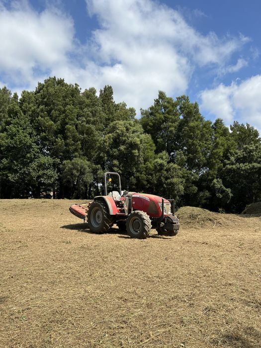Prestacao de Serviços Agricolas & Florestais