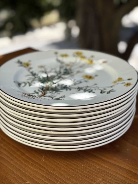 Pratos da Coleção Botânica "Villeroy & Boch" (Vintage – Anos 1980)