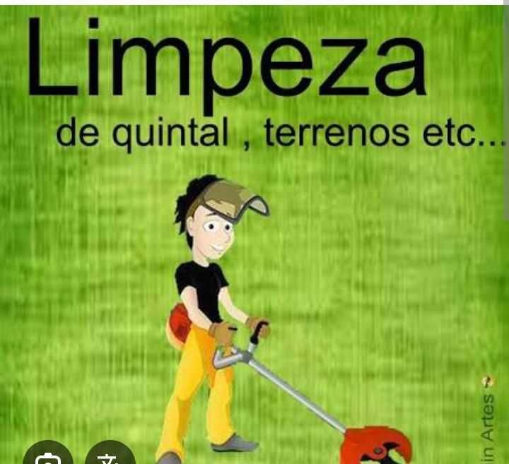 Faço limpezas terrenos matas  etc.. e só ligar 931728091