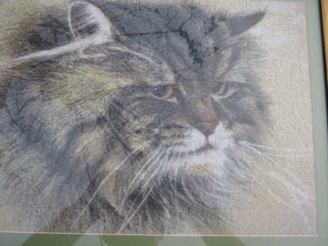 картина вышитая крестиком  *Милый друг*