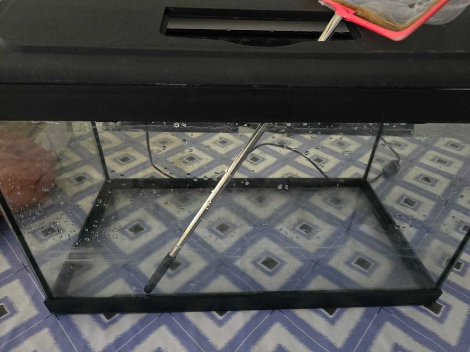 aquário para peixes ou tartarugas