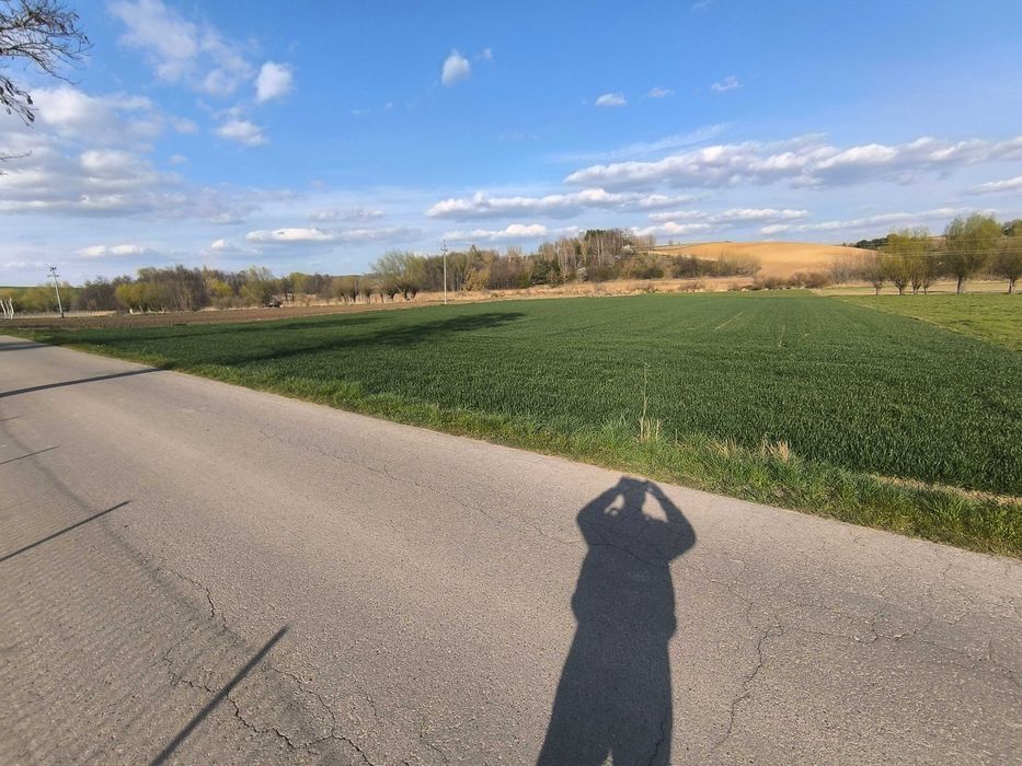 Sprzedam zabudowaną działke (gospodarstwo, dom) wraz z polem. - Więcej