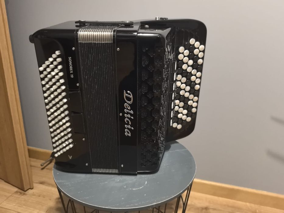 Akordeon Guzikowy Delicia Sonorex 19s Special 96 basów